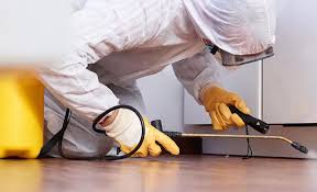 Real Estate Pest Inspections in Apex, NC